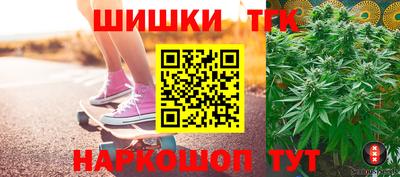Альфа ПВП Новозыбков